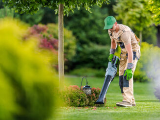 Gartensauger und Gartenbläser