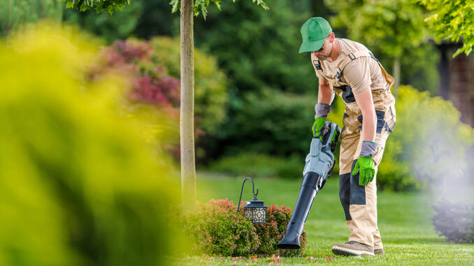 Gartensauger und Gartenbläser Gartensauger und Gartenbläser