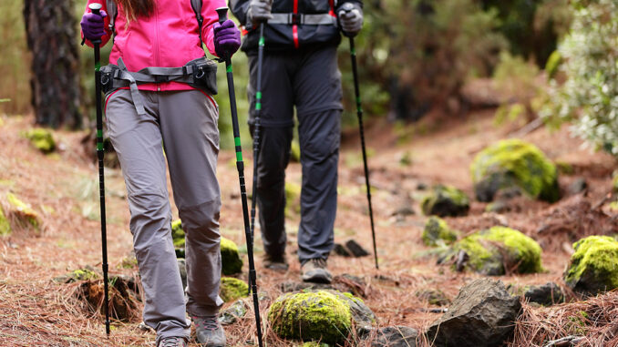 Wanderungen und Radtouren