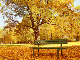 Parks im 20. Bezirk in Wien