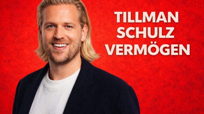 Tillman Schulz Vermögen