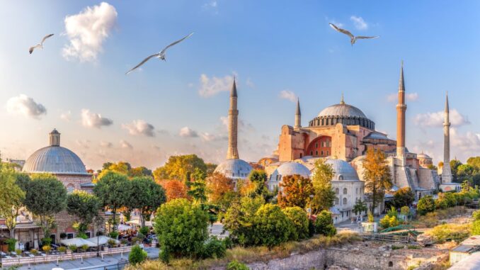 Panoramaaufnahme der Hagia Sophia in Istanbul mit Minaretten, Bäumen und Möwen am Himmel bei Sonnenuntergang