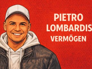 Pietro Lombardis Vermögen