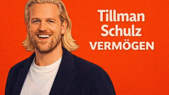 Tillman Schulz Vermögen