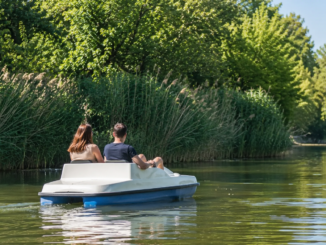 Paar fährt an einem sonnigen Sommertag mit einem Tretboot über die Alte Donau in Wien