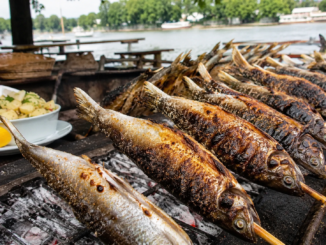 Mehrere Steckerlfische werden über Holzkohle gegrillt, im Hintergrund ist ein Gewässer zu sehen