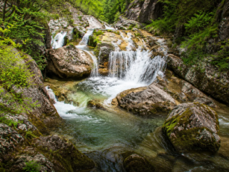 Mehrstufiger Wasserfall in einer grünen, felsigen Schlucht in Niederösterreich