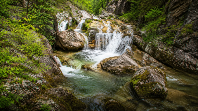 Mehrstufiger Wasserfall in einer grünen, felsigen Schlucht in Niederösterreich